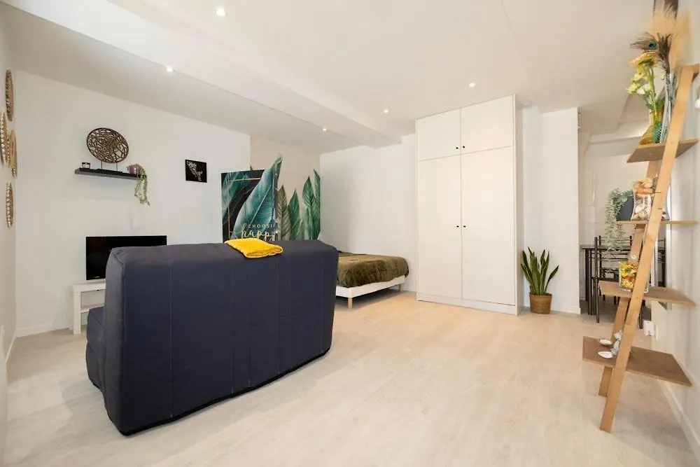 Appartement Le P'Tit Nid Des Halles Le Grand-Lemps France